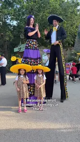 A montage of a family day out at Hertfordshire Zoo's Summer Evenings event, featuring Mexican-themed entertainment, dinosaur exhibits, and animal encounters.