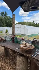 A high-quality, inviting shot of an outdoor dining table set in a garden, featuring rustic wood accents and glassware, creating an appealing atmosphere for an alfresco dining event.