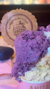 A short, energetic vlog-style review of Anita Gelato in London, showcasing the interior, the wide selection of gelato flavours, the serving process, and the creator's reaction to the product.