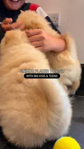 A montage of visitors interacting with Chow Chow puppies at a 'Pooch Therapy' session, highlighting the intimate and heartwarming nature of the experience.