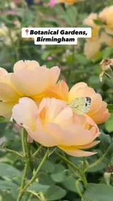 A montage video showcasing a visit to the Birmingham Botanical Gardens, featuring various plants, flowers, and wildlife, followed by a brief look at food and drinks at the on-site Medicine Bakery.