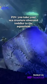 A family-oriented reel documenting a visit to SEA LIFE Loch Lomond, featuring shots of children observing various marine life in tanks and interacting with an interactive coloring wall.
