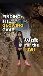 A short, engaging video showcasing a visit to Clearwell Caves, highlighting the historic mine tunnels, fossil displays, and a unique glowing pool feature.
