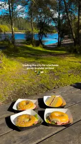 A travel-focused reel showcasing a scenic road trip and picnic location at Three Lochs Forest Drive in Scotland, highlighting the accessibility from nearby cities and the natural beauty of the area.