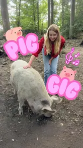 The video is a montage of a 'Pig Gig' festival held at an animal sanctuary called Pigs in the Woods. It features footage of free-roaming pigs, live music performances, attendees enjoying the outdoor setting, and various vegan food options like hot dogs, nachos, and cupcakes. The tone is lighthearted and wholesome, focusing on the interaction between visitors and the animals.