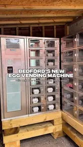A short video showcasing a local egg vending machine in Bedford, followed by a visit to a nearby coffee shop, No. 7 Coffee House, to enjoy matcha, sandwiches, and cake.