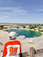 A candid shot of a child looking out over a pond at Whipsnade Zoo, capturing a family day out experience.