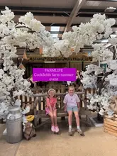 A promotional image for a summer farm festival, featuring two children sitting on a wooden bench under a decorative cherry blossom arch inside a barn setting.