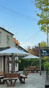 A short montage showcasing the outdoor patio, bar area, and food offerings including a burger and salmon at The Dog over Peover, a country pub.