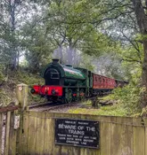 A clear, well-composed photograph of a steam train at the Tanfield Railway, framed by trees with a warning sign in the foreground.
