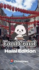 The video is a fast-paced food crawl through London's Chinatown, highlighting five different halal-friendly eateries. The creator visits each location, showing the exterior, the food items purchased, and providing a total cost for the experience. The video uses a combination of voiceover and text overlays to guide the viewer through the itinerary.
