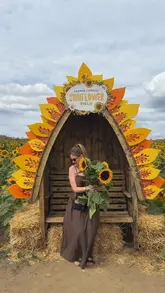 A photo of a person sitting in a decorative sunflower-themed chair in a sunflower field at Farmer Copleys, promoting it as a summer day out activity.