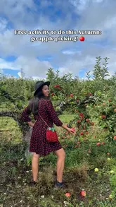 A short, bright vlog-style video showcasing an apple picking experience at an orchard. The creator walks through the trees, picks apples, and places them in a basket, highlighting the activity as a free, wholesome autumn day out near London.