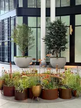 A high-quality, well-composed architectural shot of the courtyard at the Six Senses London hotel, featuring large planters, a central water feature, and the restored Whiteley building facade in the background.