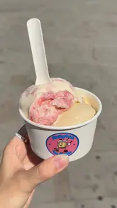 A creator reviews Melting Point Ice Cream, an artisanal ice cream stall based in Leeds. The video features the creator introducing the brand, showing the ice cream cart, highlighting the variety of flavours on the menu board, and demonstrating the scooping process.