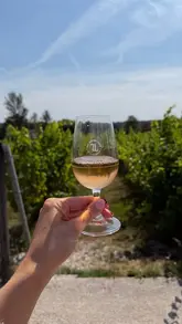 A montage video showcasing a 'Pilates & Pinot' event at a vineyard, featuring a Pilates class followed by wine tasting and a tour of the grounds.