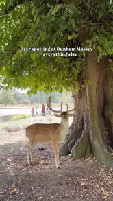 A short, relaxing montage of deer roaming in the grounds of Dunham Massey, set to music with simple text overlays.