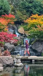 A listicle-style video showcasing various autumn-themed locations in London, including parks, a nursery cafe, a canal walk, and a tea room, aimed at providing inspiration for seasonal outings.