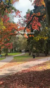 A montage video showcasing the seasonal appeal of the Cotswolds, featuring various pubs, cafes, and scenic locations. The video highlights autumn activities, cosy pub dining, and seasonal treats like Sunday roasts and hot chocolates.