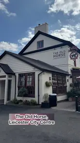 A family-friendly visit to The Old Horse pub, showcasing the interior, bar, diverse menu including Sunday roast and kids' meals, and the spacious beer garden with games.
