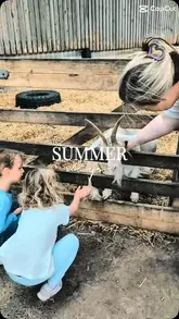 A montage of family activities at Whitehouse Farm, featuring animal interactions, go-karting, and soft play areas.