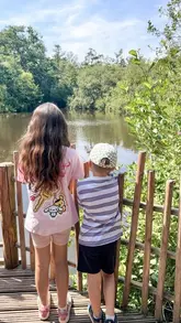 A montage of clips showing a family day out at BeWILDerwood, featuring activities like a boat ride, treehouse slides, rope bridges, and den building.