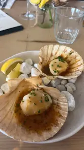 A montage showcasing a dining experience at Shell Bay restaurant, featuring close-ups of seafood dishes like scallops and sea bream, wine service, the restaurant's interior, and the scenic waterfront views.