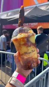 A promotional highlight reel for the World Halal Food Festival, featuring a montage of various food vendors, live entertainment, shopping stalls, and family activities at the London Stadium.
