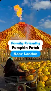 A short, energetic reel showcasing Cammas Hall Farm's pumpkin patch, highlighting the 'erupting volcano' feature, spooky decorations, and family-friendly activities.