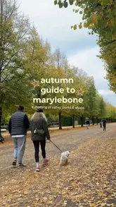 A curated guide to spending an autumn morning in Marylebone, London, featuring various cafes, shops, and a walk through Regent's Park.