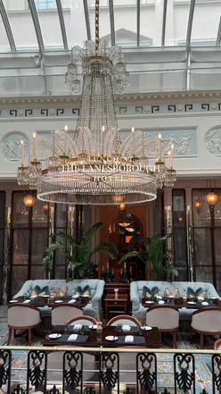 Delicious set lunch menu at a popular London restaurant, showcasing vibrant dishes and a cozy atmosphere.