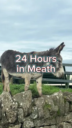 Explore the beauty of Meath with walks, saunas, dining, and adventure activities in Navan. #TravelIreland