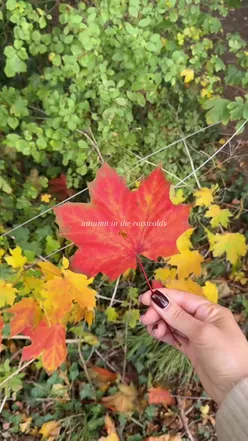 Cosy cottage in the Cotswolds, perfect for an autumn holiday getaway and self-care staycation.