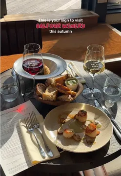 Autumn visit to Balfour Winery near London, featuring cozy vibes, beautiful vineyard views, and exquisite food and wine.