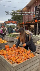 Families enjoying pumpkin picking at Tulleys Farm, Crawley during the October Pumpkin Festival near London.