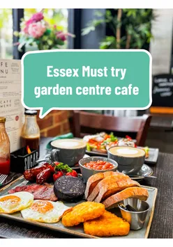 Cozy café at Plants Galore in Harlow serving large breakfasts, homemade cakes, and autumn delights with a family-friendly vibe.