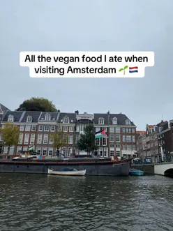 Vegan food spread at a trendy restaurant in Amsterdam, showcasing delicious plant-based dishes and vibrant ambiance.