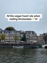 Vegan food spread at a trendy restaurant in Amsterdam, showcasing delicious plant-based dishes and vibrant ambiance.