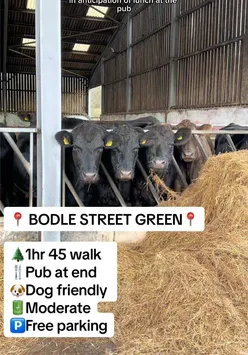 👉🏼Click the link in our bio for the route of this walk on @OrdnanceSurvey 🥾 (you can also get OS maps app via the link in our bio👏)  WALK NAME: BODLE STREET GREEN WHITE HORSE WALK ⏰ 1hr 45 loop walk  🅿️🆓 PARKING & PUB POSTCODE : BN27 4RE 🐶✅ Dog friendly pub.  🪵 12 stiles and some with poor dog access. Map of the walk is in our bio 🙌 Get 20% OFF @Vivobarefoot with code: BAREFOOTLIFE20 🥾🥳 Have fun walking, and we’ll catch you in the next one 😄🚶 #oschampion #kentwalks #dogwalks #sussexwalks #kswalks104