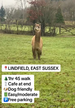 👉🏼Click the link in our bio for the route of this walk on @OrdnanceSurvey 🥾 (you can also get OS maps app via the link in our bio👏)  WALK NAME: LINDFIELD ROOST SUSSEX CAFE WALK ⏰  1hr 40 loop walk  🅿️🆓 PARKING & CAFE POSTCODE: RH16 2QX 🐶✅ Dog friendly cafe.  🪵 3 stiles with good dog access. Map of the walk is in our bio 🙌 Get 20% OFF @Vivobarefoot with code: BAREFOOTLIFE20 🥾🥳 Have fun walking, and we’ll catch you in the next one 😄🚶 #oschampion #kentandsussex #dogwalks #kswalks105 #lindfield 