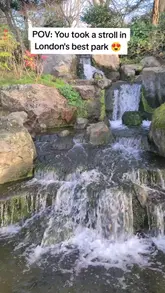 A short, handheld POV video showcasing the Kyoto Garden in Holland Park, London, featuring shots of the waterfall, wildlife, and walking paths.