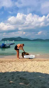 A travel vlog showcasing a visit to Pig Island in Koh Samui, Thailand. The video features the creator interacting with pigs on the beach, feeding them water, and observing them in their natural habitat. It highlights the unique animal interaction experience available at this location.