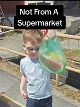 A travel vlog featuring a young boy choosing fresh fruit from a street stall in Georgetown, Penang, Malaysia. The video contrasts the experience of buying fruit from a local street vendor with the supermarket experience in Ireland, highlighting the cultural learning opportunity for the child.