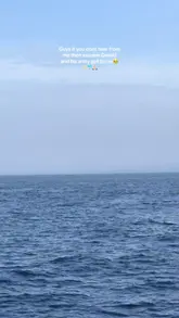 People watching a pod of dolphins swim in the ocean off the coast of Sri Lanka.