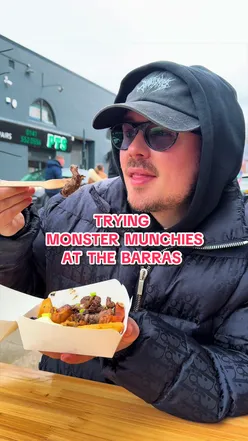 Barras Market: Food from Monster Munchies, Larimar Light crystals, Shug the pug, and a market vendor.
