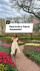 Millions of colorful tulips in full bloom at Keukenhof Gardens, Netherlands, an iconic spring travel destination from Amsterdam.