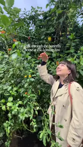 A fast-paced listicle video featuring 10 different activities and dining spots across London, including the ZSL London Zoo, an Uber Boat ride, afternoon tea at Taj 51, brunch at Boxcar, and dinner at Silva.