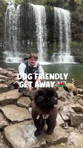 A couple documents their dog-friendly trip to Wales, featuring visits to waterfalls, a stay in a hut with a hot tub, and a meal at a burger restaurant called Hills.