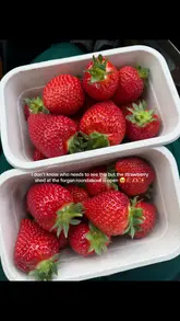 A simple, casual photograph of two punnets of fresh strawberries, likely taken at a farm stand or 'strawberry shed'. The image is functional and highlights the freshness of the produce, serving as a quick update for locals.