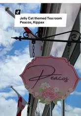 Here are a few options for your SEO alt text, keeping it under 125 characters:

**Option 1 (Descriptive & SEO-focused):**
"Cozy pink Peacos tearoom in Kippax, Leeds, featuring a display of Jellycat plush toys, brownies, and afternoon tea."

**Option 2 (Action-oriented):**
"Interior of Peacos, a cute pink cafe in Leeds filled with Jellycat toys, serving afternoon tea, cakes, and brownies."

**Option 3 (Concise):**
"Peacos tearoom in Leeds: a pink, Jellycat-filled cafe serving cakes, brownies, and afternoon tea."

**SEO Tip:** I included the location (**Leeds/Kippax**) and the main keywords (**tearoom, Jellycat, afternoon tea, cakes**) to ensure the image ranks well in local search results.